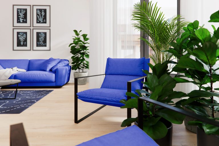 Teddy – Эгида. Ткани